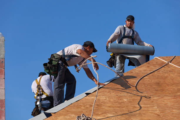Best Roof Leak Repair  in Girard, IL
