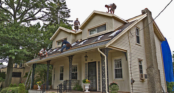 Best Roof Gutter Cleaning  in Girard, IL