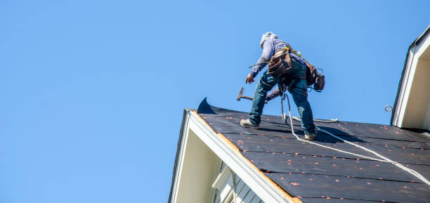 Best Flat Roof Repair Services  in Girard, IL